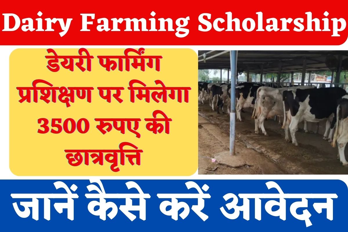 Dairy Farming Scholarship डेयरी फार्मिंग प्रशिक्षण पर मिलेगा 3500 रुपए की छात्रवृत्ति जानें 
